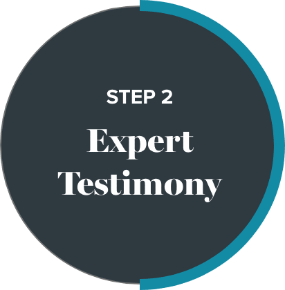 Step 2: Expert Testimony